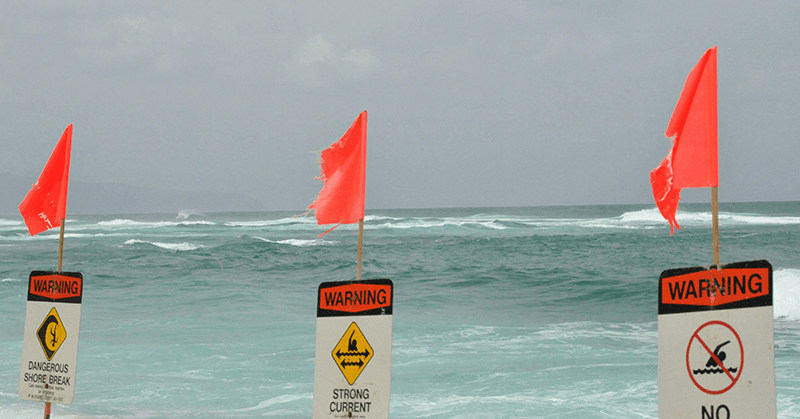 Is the Surge in High Yield Savings a Windfall Or a Warning