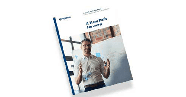 picture of temenos report