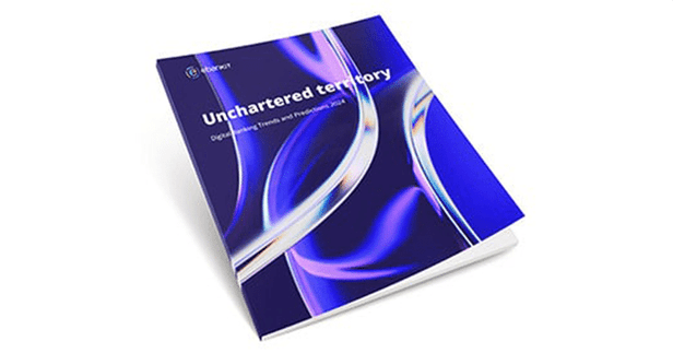 picture of ebankit report