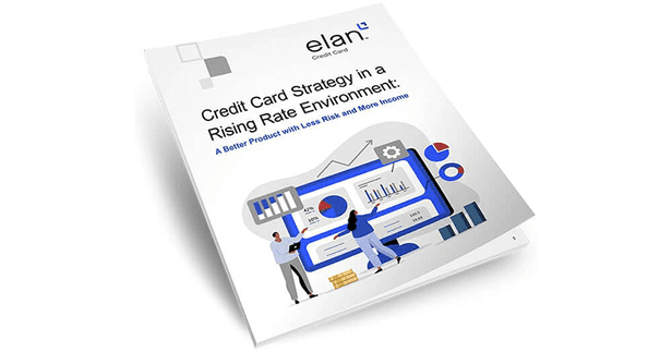 picture of elan credit card report