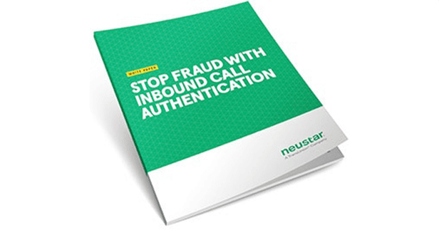 picture of neustar report