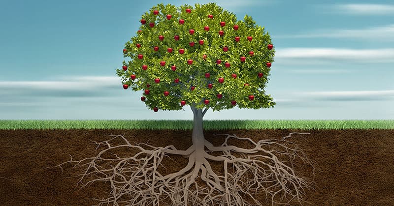 Why Authenticity in Bank Marketing Beats Empty Polish in 2026