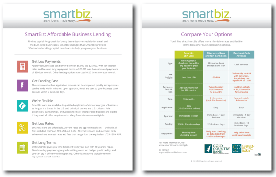 smart_biz_brochure