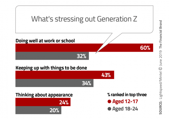 What is stressing out generation z