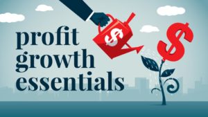 Article Image: Profit-Growth Essentials
