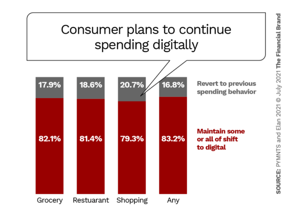 Consumer plans to continue spending digitally