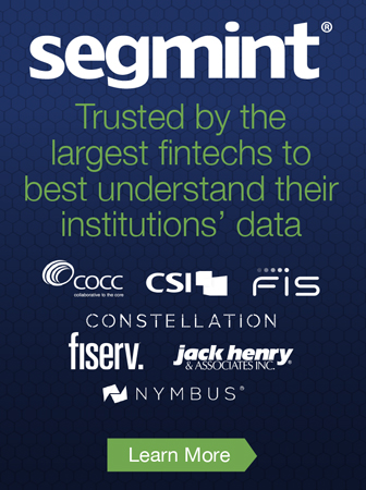 Segmint | Trusted by Fintechs