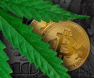 Article Image: Why (and How) a Community Bank Cultivates Crypto & Cannabis Clients
