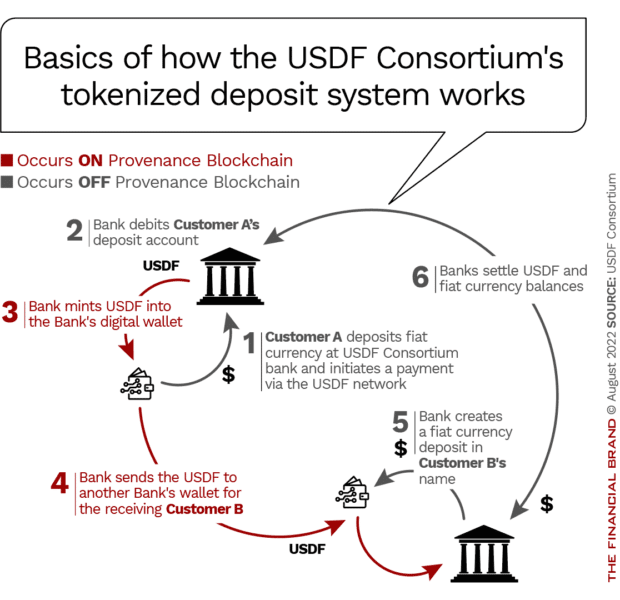 How the USDF Consortium's tokenized deposit system works converting fiat currency and USDF
