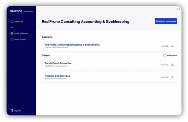 Bluevine online small business accountant bookkeeper portal