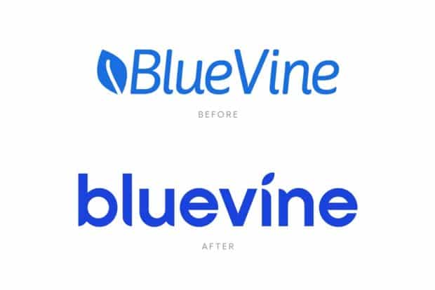 Bluevine rebrand logo before and after