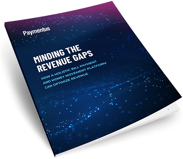 Minding the Revenue Gaps Cover Image