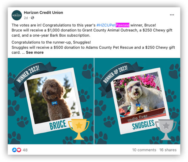 Horizon Credit Union pet paws contest
