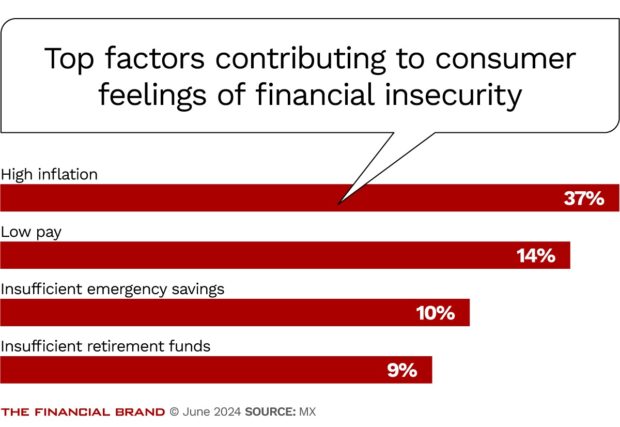 chart showing the top factors contributing to financial insecurity